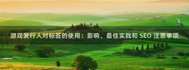 蓝狮技术有限公司怎么样：游戏发行人对标签的使用：影响、最佳实践和 SEO 注意事项