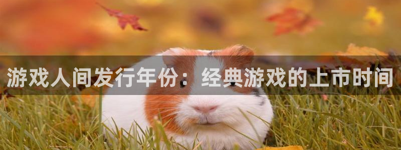 蓝狮在线注册方法是什么意思：游戏人间发行年份：经典游戏的上市时间