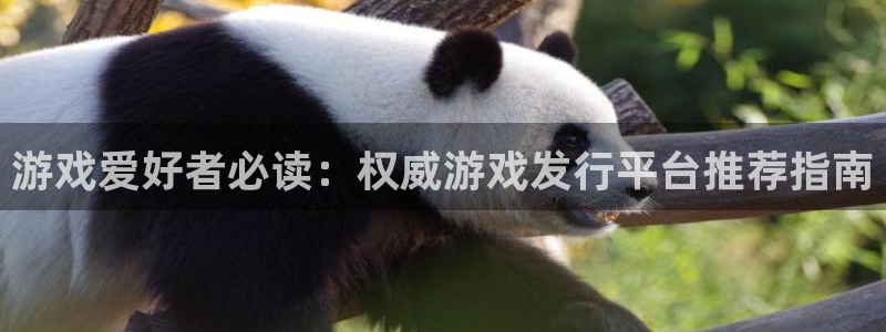 法国蓝狮官网：游戏爱好者必读：权威游戏发行平台推荐指南