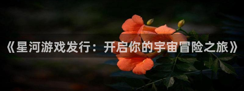 广州蓝狮投资管理顾问有限公司：《星河游戏发行：开启你的宇宙冒险之旅》