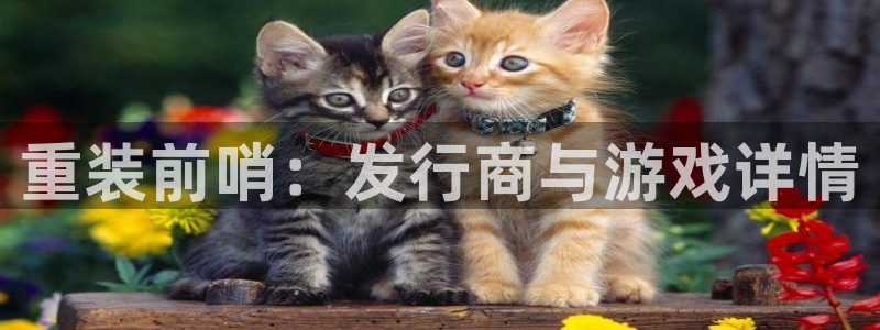 蓝狮子的所有小说：重装前哨：发行商与游戏详情