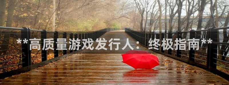蓝狮子书单：**高质量游戏发行人：终极指南**