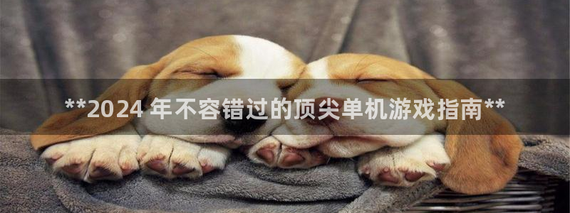 蓝狮运动装有哪些品牌：**2024 年不容错过的顶尖单机游戏指南**