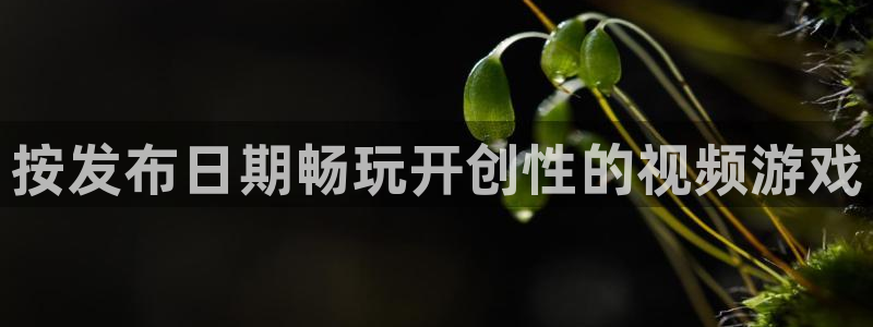 蓝狮电子商务有限公司怎么样：按发布日期畅玩开创性的视频游戏