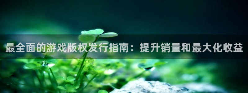 蓝狮子怎么样：最全面的游戏版权发行指南：提升销量和最大化收益