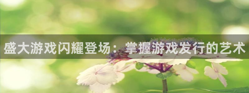 蓝狮子公司怎么样