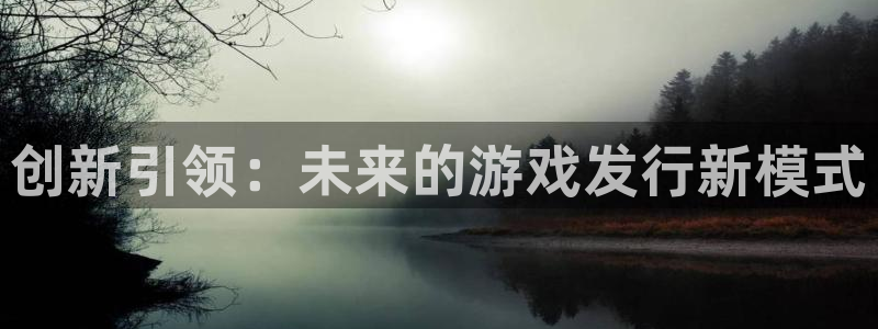 四川蓝狮科技有限公司招聘：创新引领：未来的游戏发行新模式
