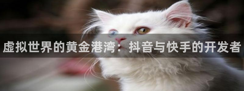 蓝狮在线注册平台怎么注册账号：虚拟世界的黄金港湾：抖音与快手的开发者