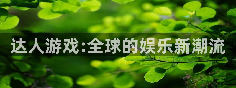 蓝狮在线客服服务