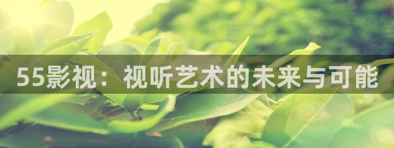 卿卿日常三米影视：55影视：视听艺术的未来与可能