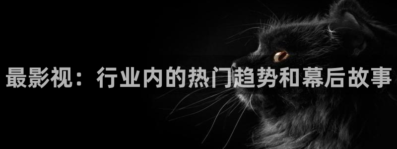 三米影视最新电视剧在线观看：最影视：行业内的热门趋势和幕后故事