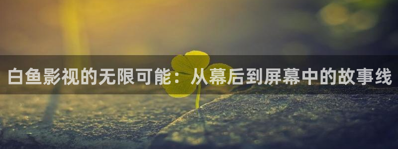 冬至电视剧免费观看完整版高清三米影视：白鱼影视的无限可能：从幕后到屏幕中的故事线